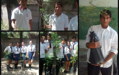 La comunidad educativa del Instituto Pio XII recibió plantas nativas