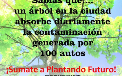 Los árboles en la ciudad, comparte el mensaje