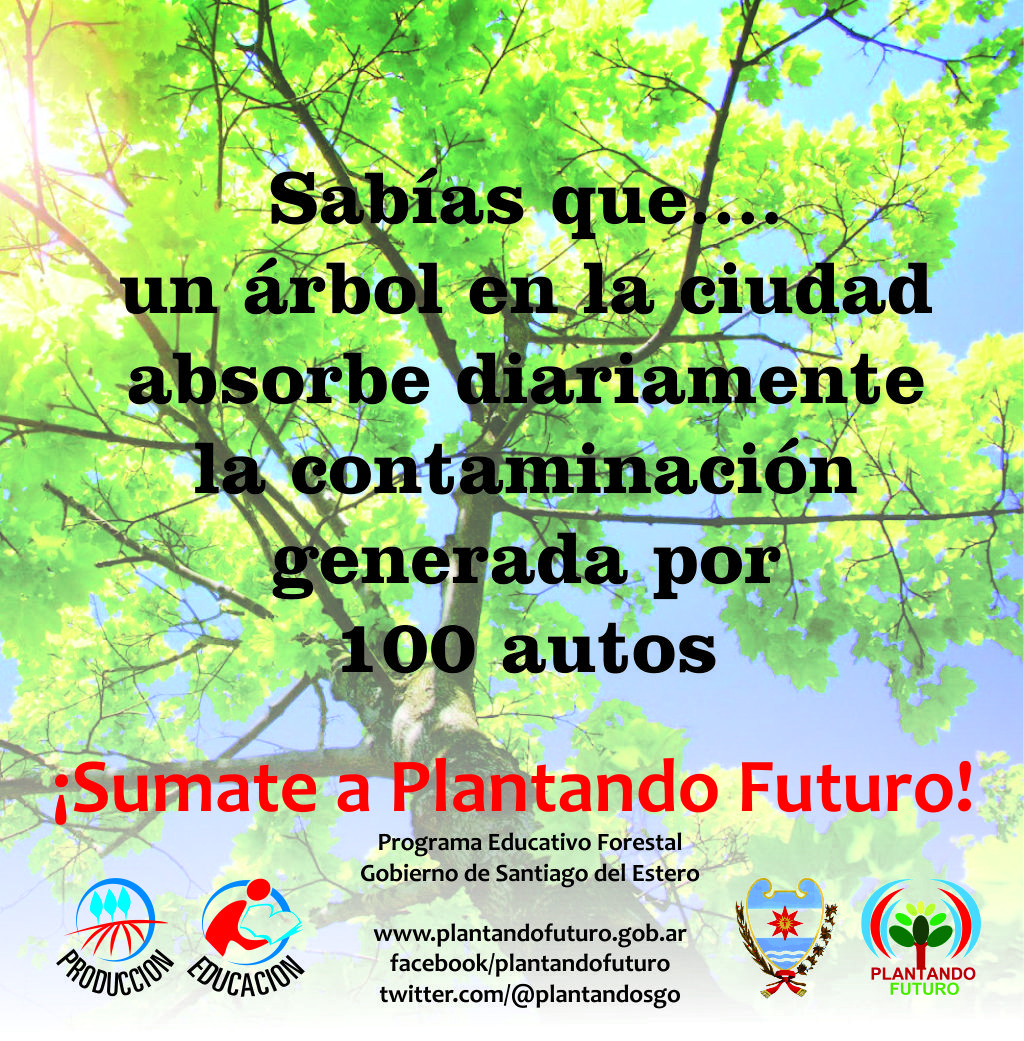 plantandoduquesa