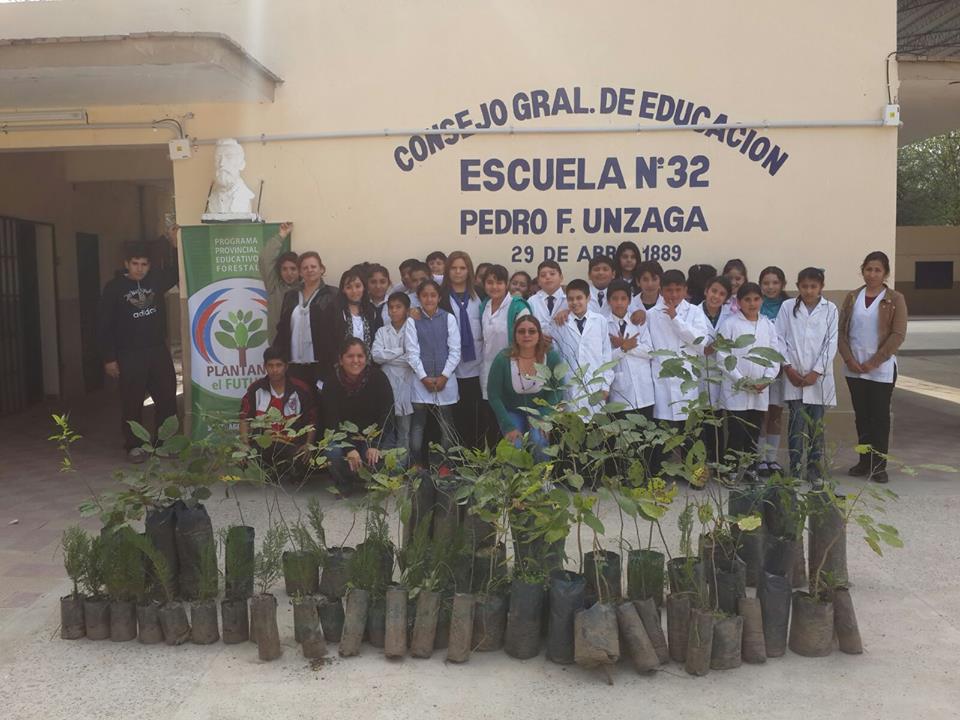 plantando-maco