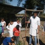 Plantando Futuro en la Escuela N° 399, “Los Gatos Colorados” – Dpto. Moreno
